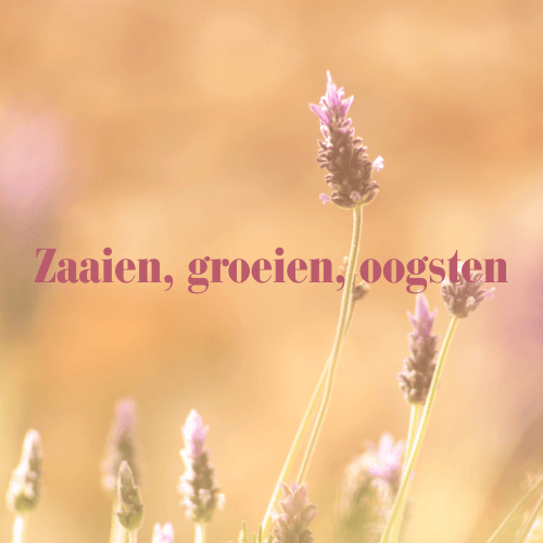 Reis van de ziel - Afbeelding 9